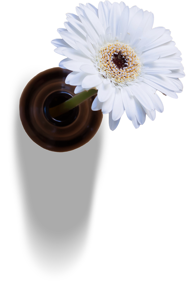 fleur-background-amer-2 fleur fond amer<br />